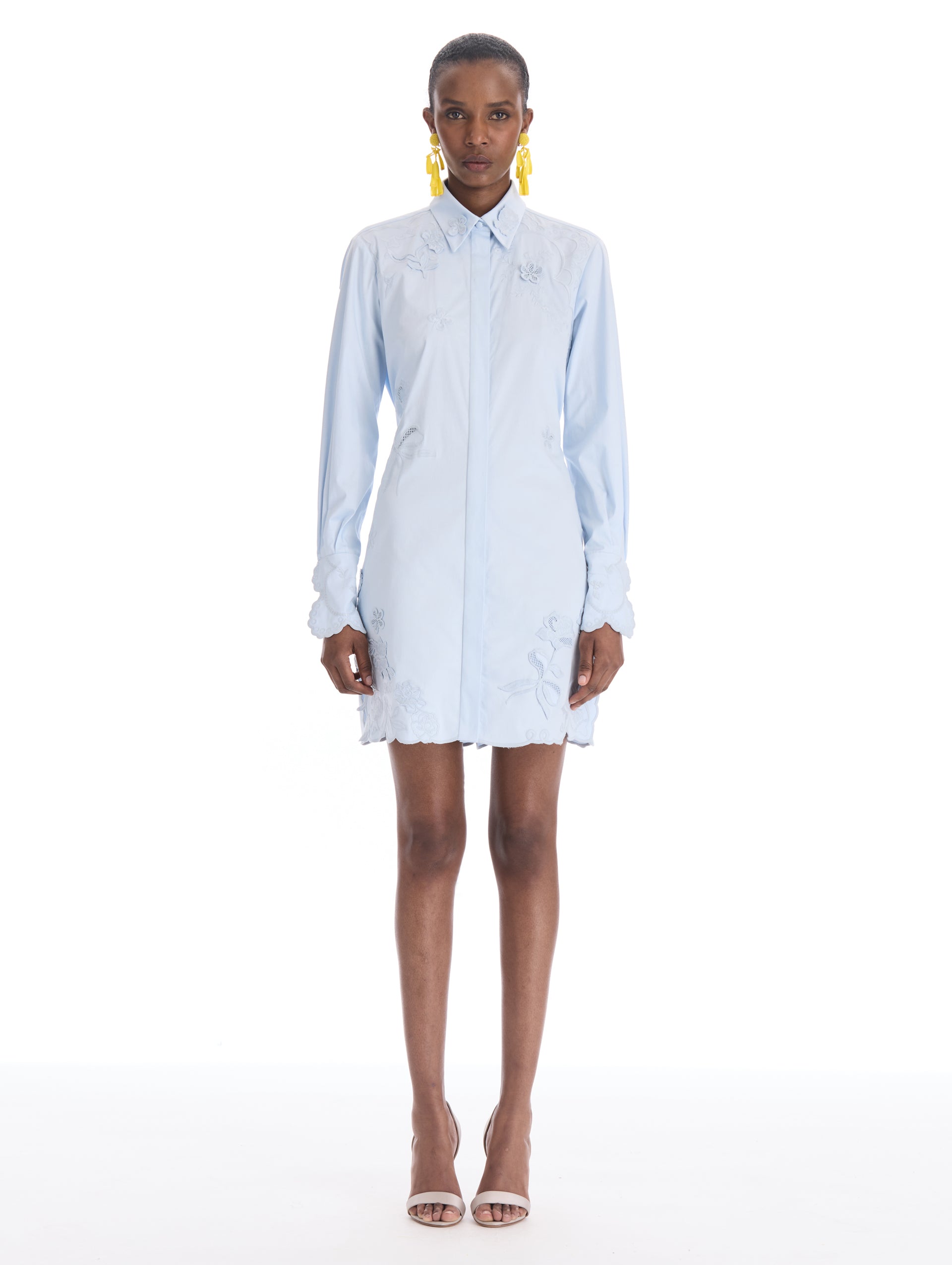 Iris Embroidered Cotton Poplin Shirt Dress