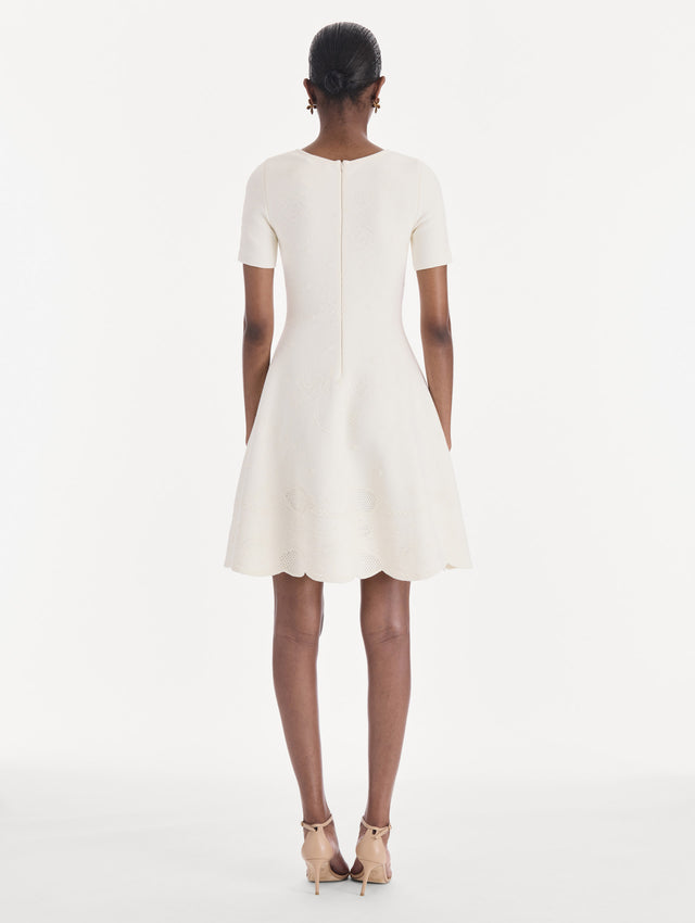The model is wearing a fit and flare knit jacquard dress. Back view.