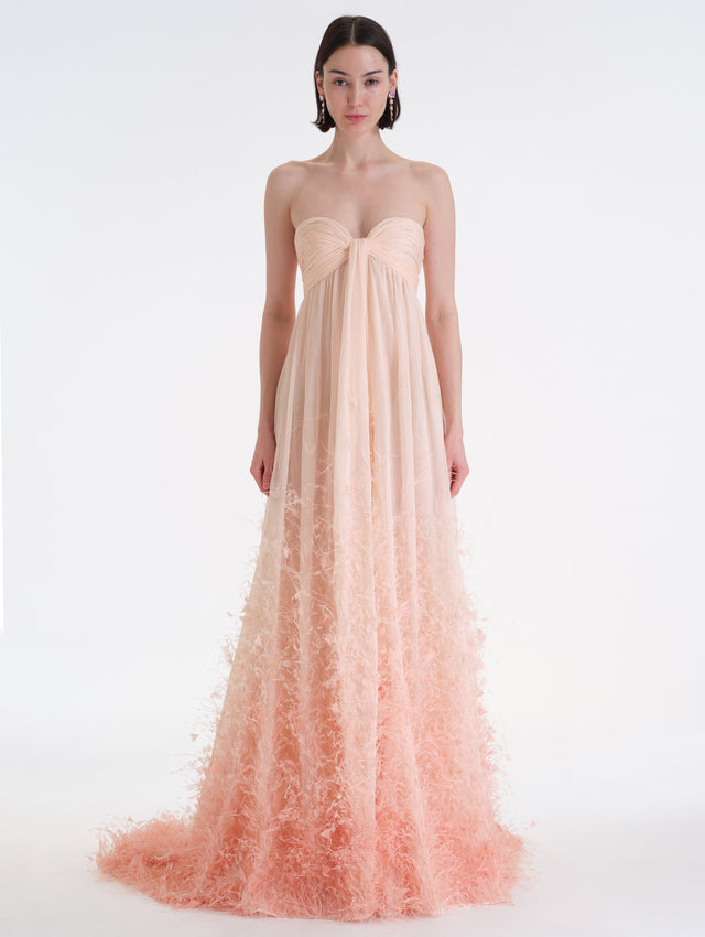 Ombré Feather Embroidered Silk Chiffon Gown