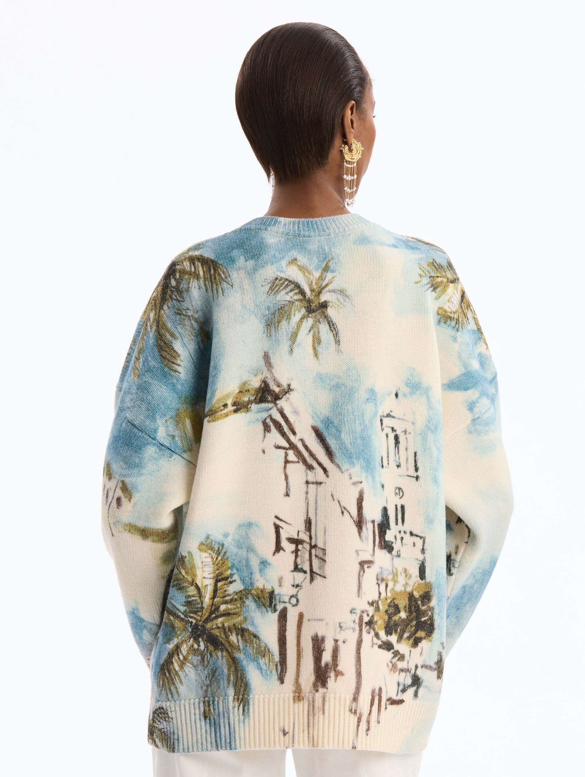 Long sleeve, crew neck pullover with Dominican Landscape Print. Back View.