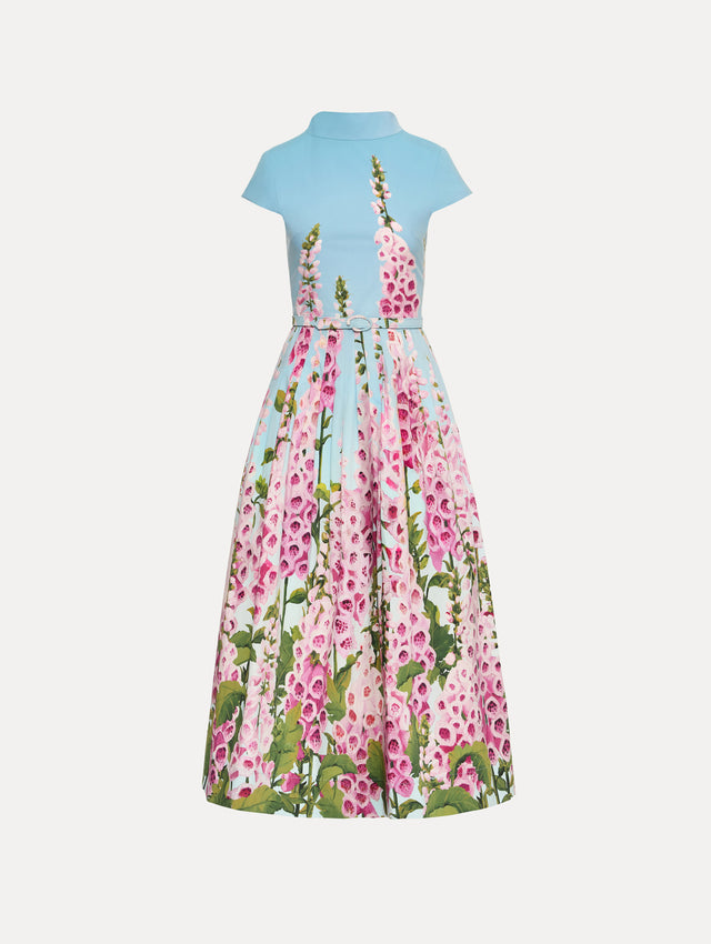 Blue and pink Degradé Foxglove Cotton Poplin Dress with a belted waist and mock neckline.