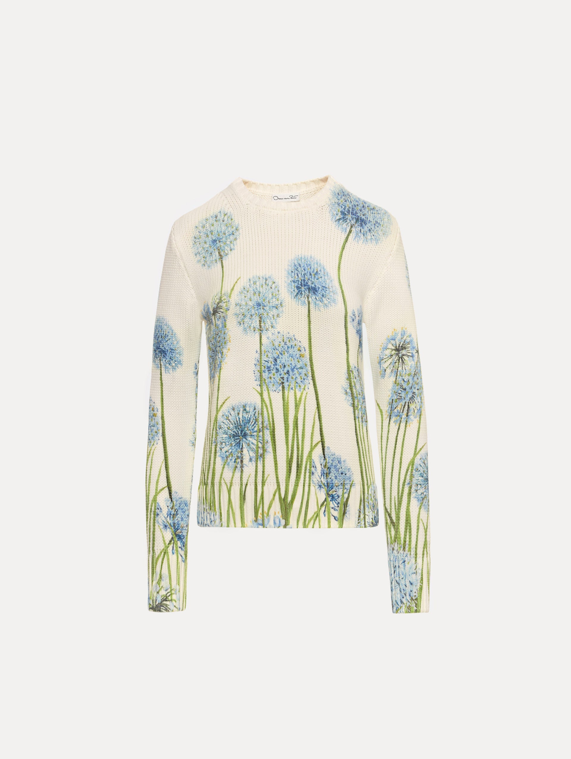 Ivory Allium Printed Pullover with crew neck silhouette and blue and green floral motifs.