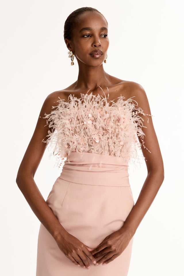 Blush Point D'Esprit Feather Embroidered Gown with a feather-embellished bodice and sleek floor-length skirt. Zoom View.