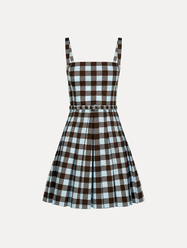 Ice Blue and Mahogany Gingham Cotton Poplin Sleeveless Mini Dress. Front View. 
