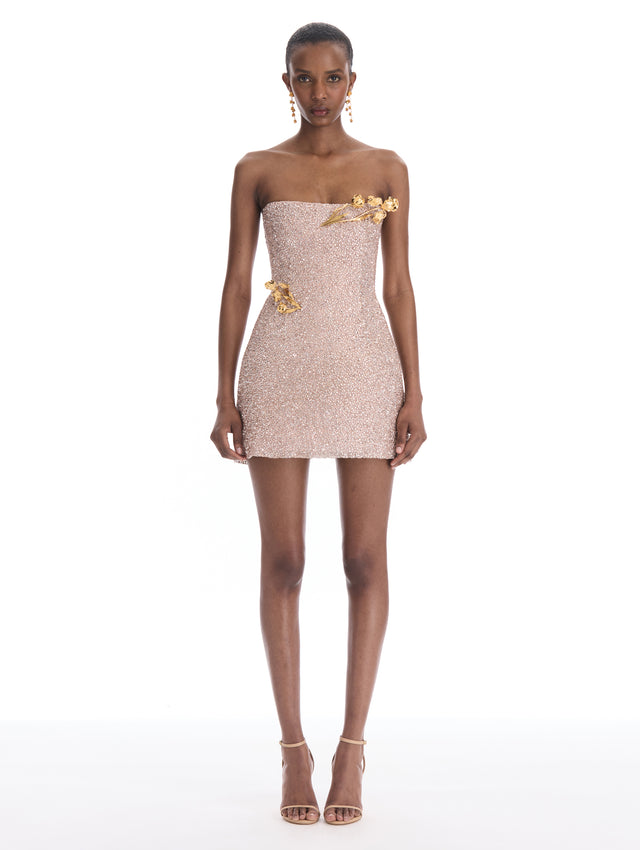 Iris Crystal Embroidered Mini Dress