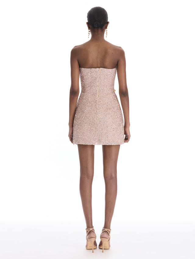 Iris Crystal Embroidered Mini Dress