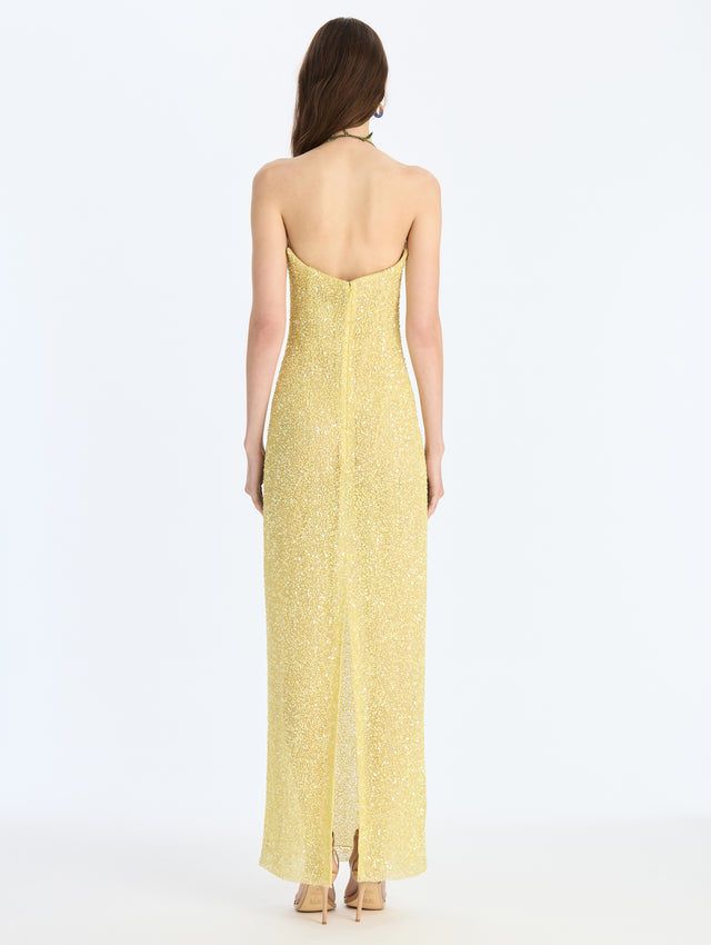 Embroidered Gown