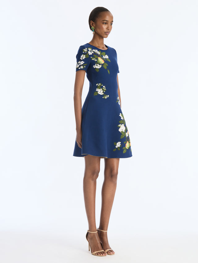 Pear Print Jacquard Fit-and-Flare Knit Dress