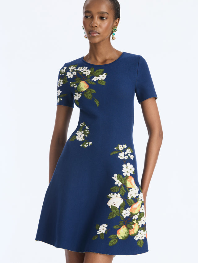 Pear Print Jacquard Fit-and-Flare Knit Dress