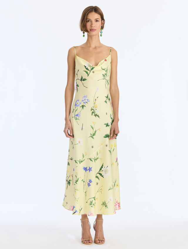 Alpine Meadow Silk Twill Dress