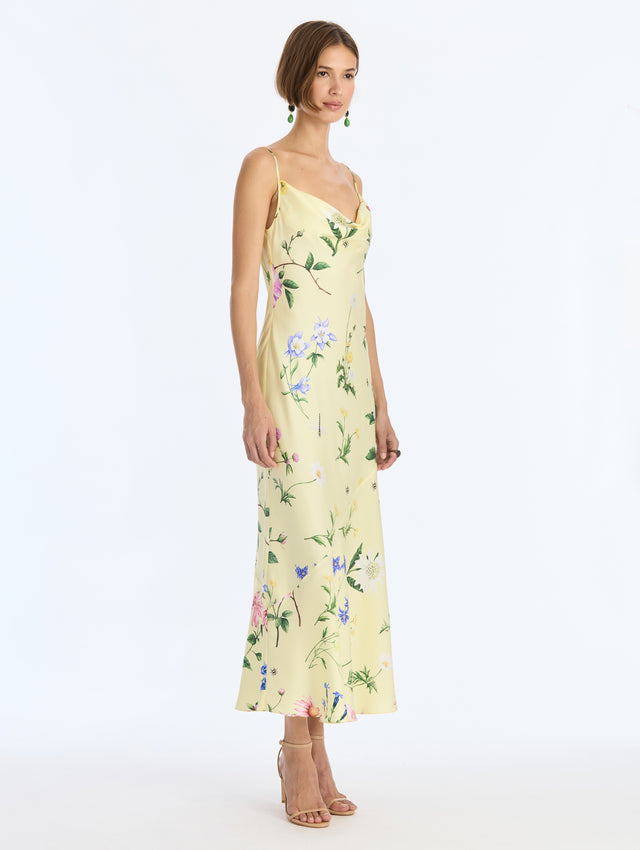 Alpine Meadow Silk Twill Dress