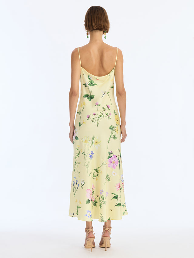 Alpine Meadow Silk Twill Dress