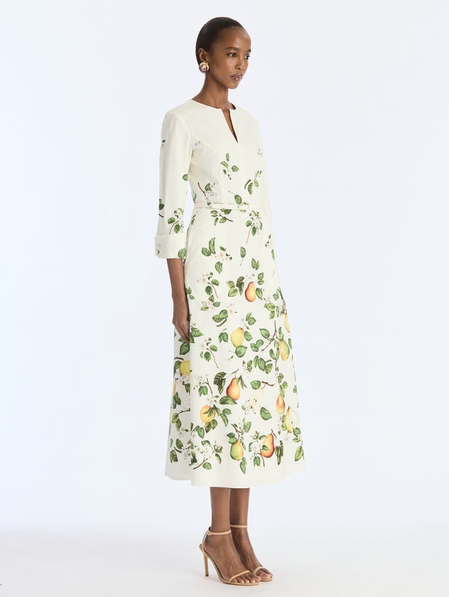 Pearl Floral Degrade Poplin Dress
