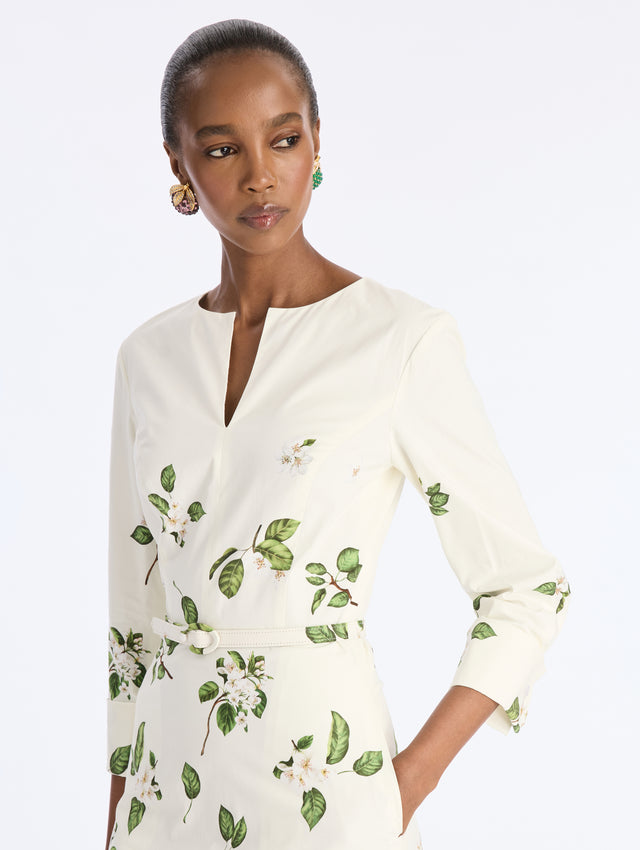Pearl Floral Degrade Poplin Dress
