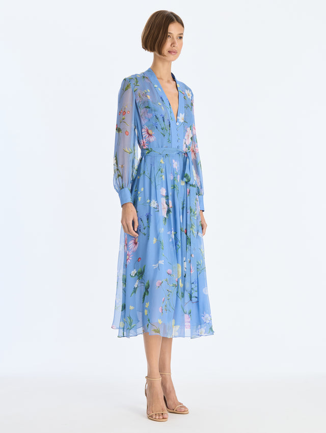 Alpine Meadow Chiffon Dress