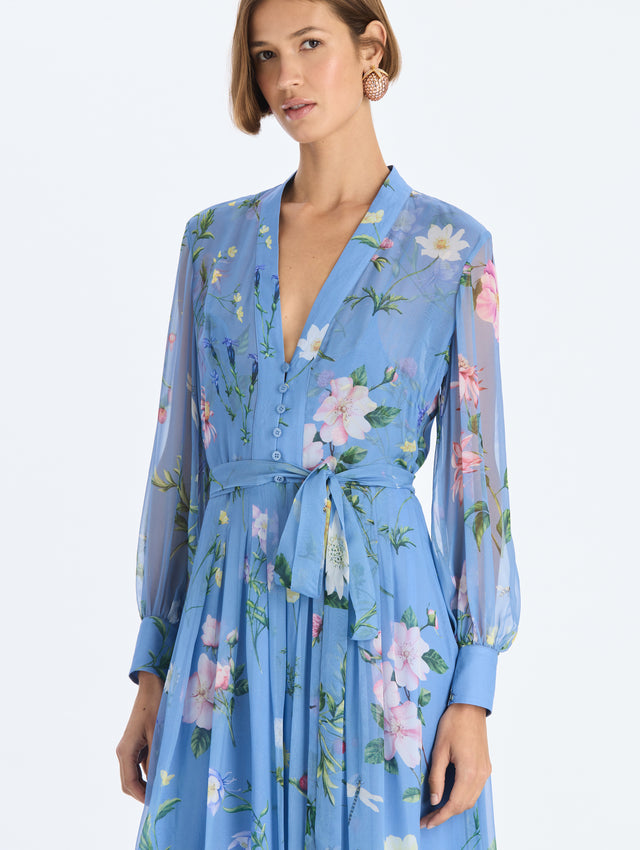 Alpine Meadow Chiffon Dress