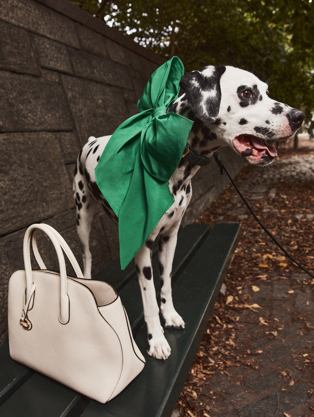 Emerald Green ODLR x @SimonSits Dog Bow featuring an oversized shape and long pointed tails. Front View.