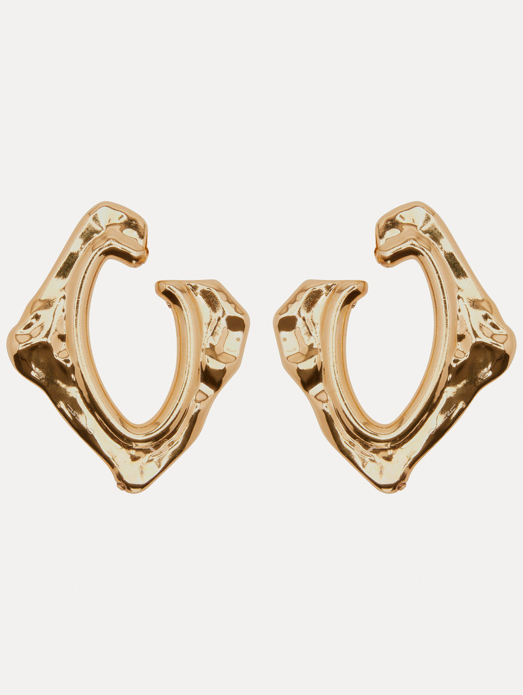 Earrings 2494