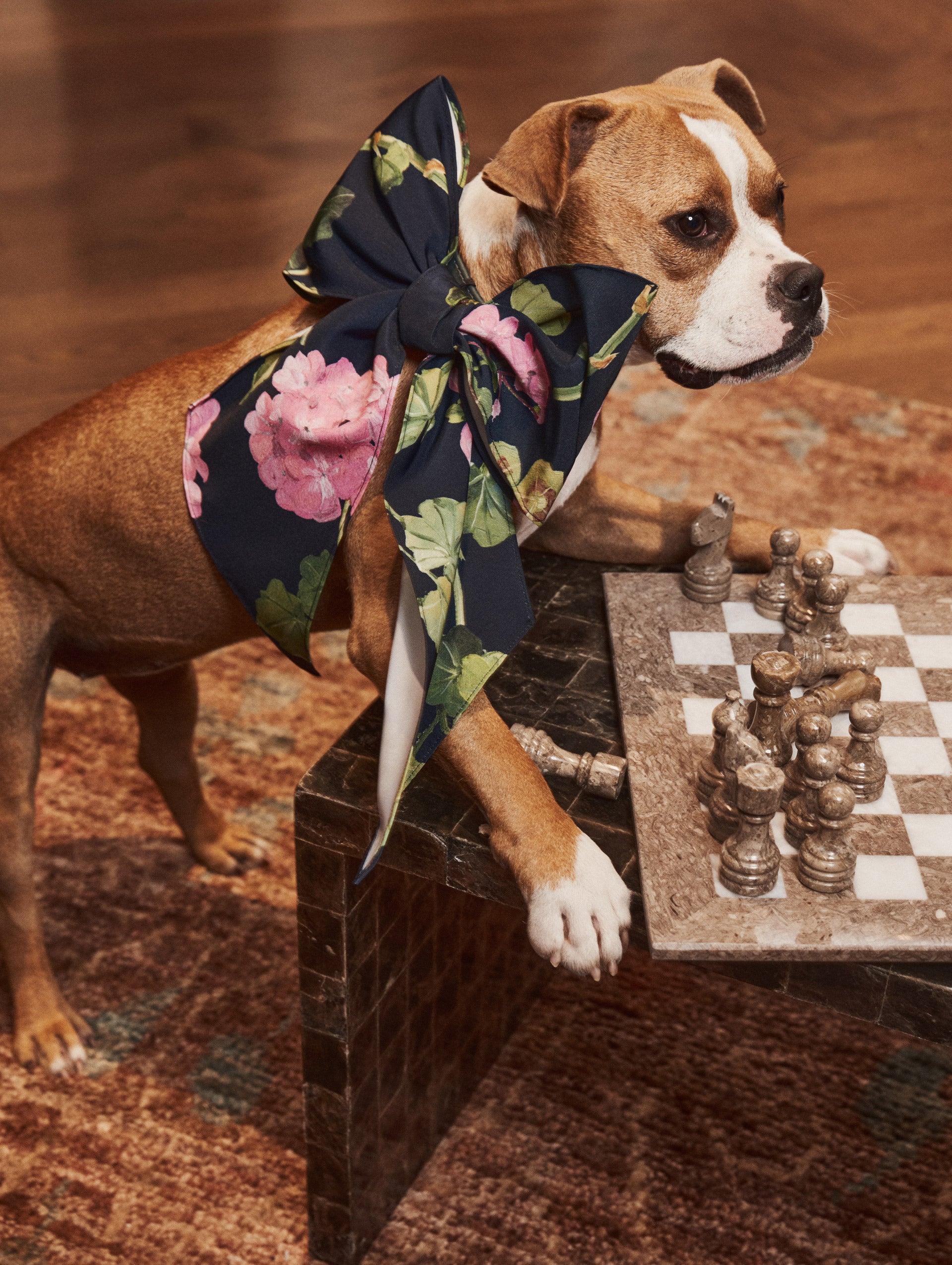 Navy and Pink floral ODLR x @SimonSits Geranium Dog Bow featuring an oversized shape and long pointed tails. Front View.