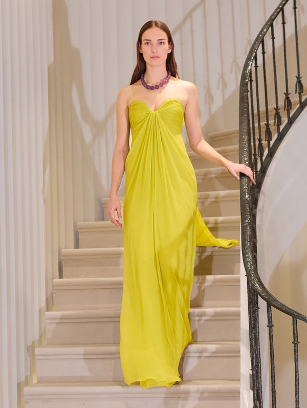 formal oscar de la renta dresses Pre-Fall 2025