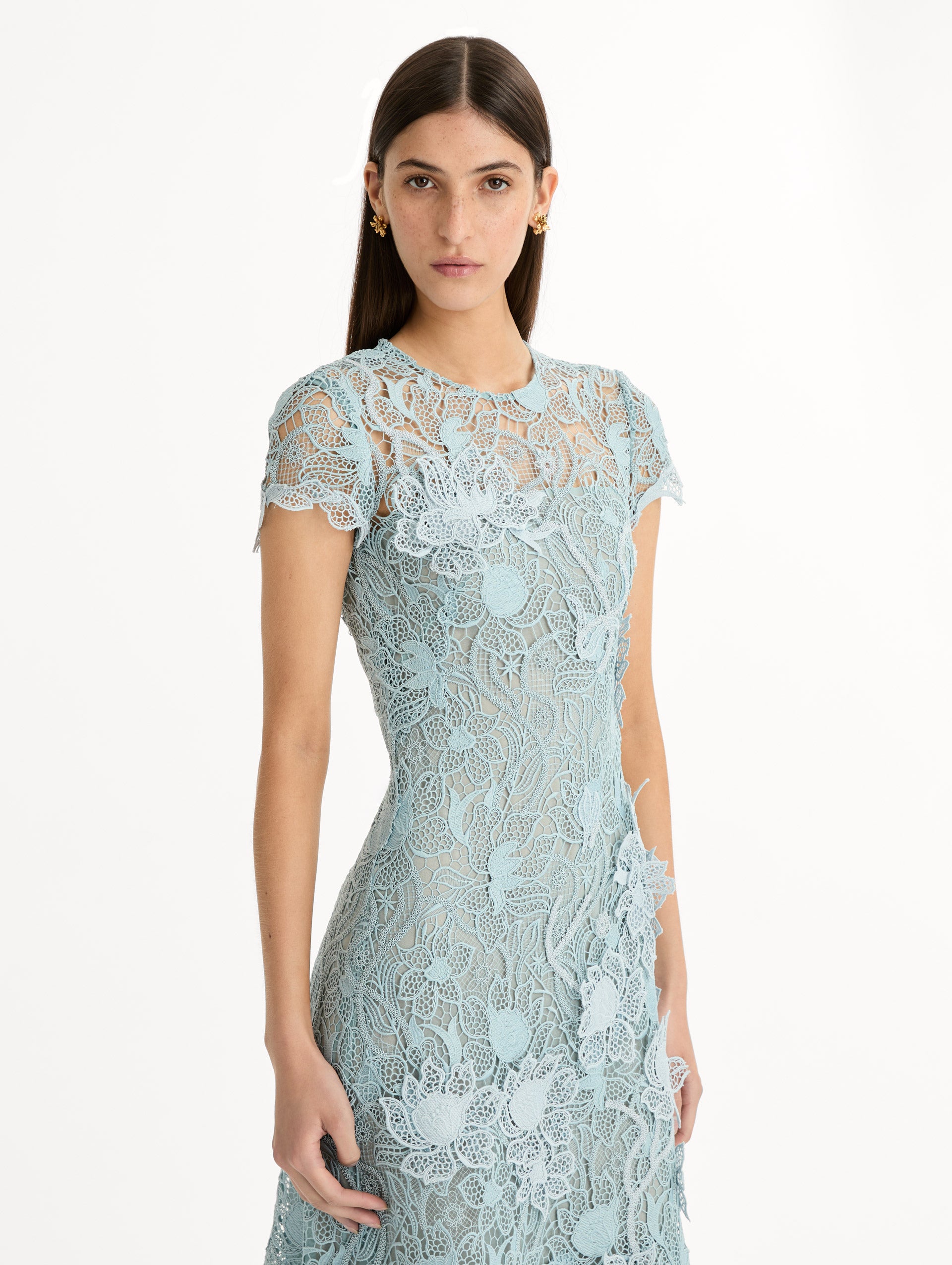 Blue Corded Botanical Guipure Dress with short sleeves and a sheer botanical overlay. Zoom View.