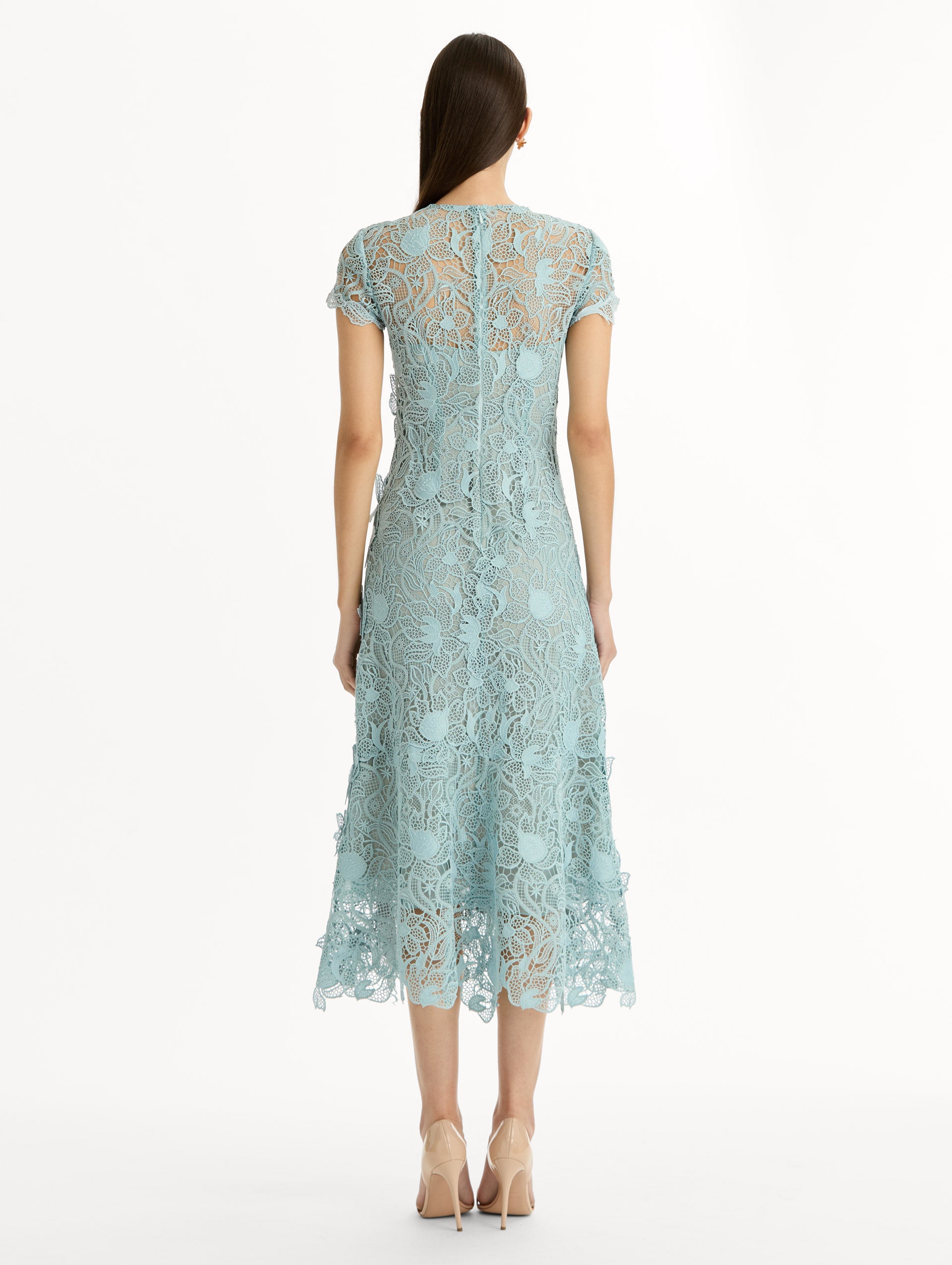 Blue Corded Botanical Guipure Dress with short sleeves and a sheer botanical overlay. Back View.