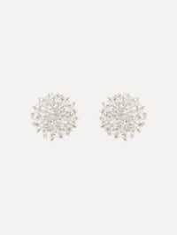 The Beaded Cluster Earrings in Crystal. Front View.