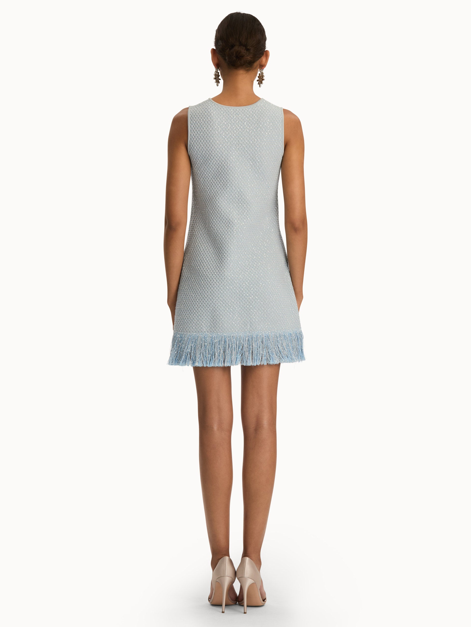 Blue quartz sequin tweed dress with fringe trim. Back view.