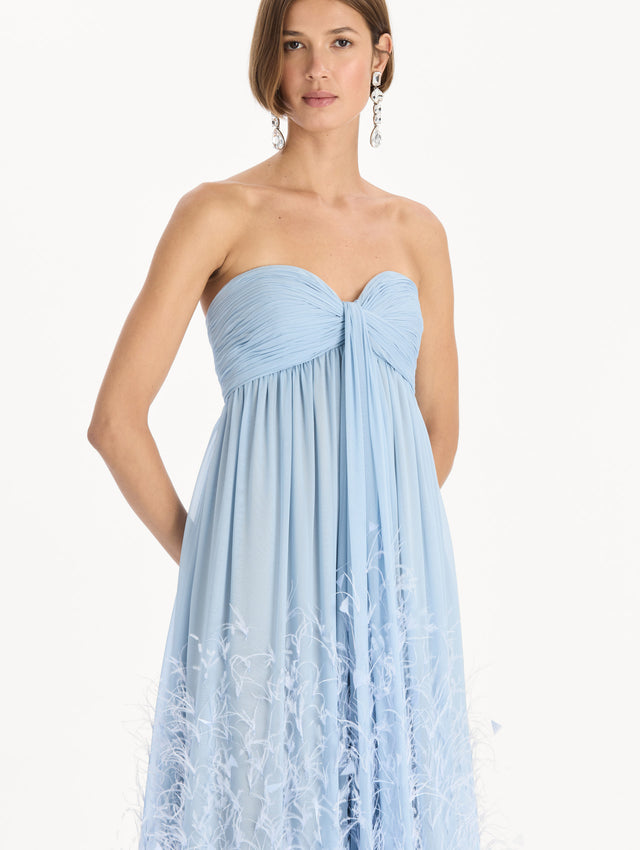 Ombré Feather Embroidered Silk Chiffon Gown