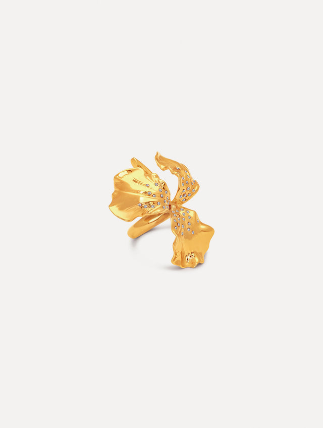 The image depicts an iris flower ring. Front view.