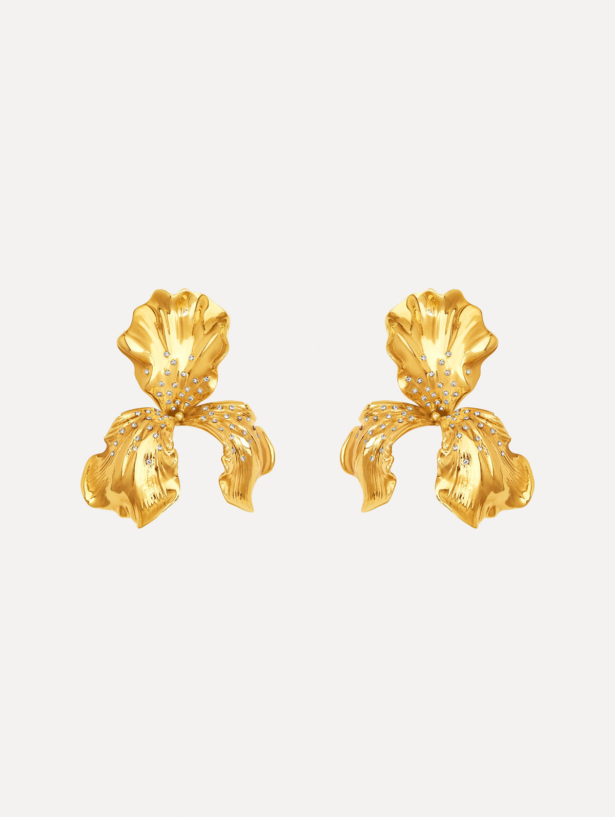 The image depicts iris earrings. Front view.
