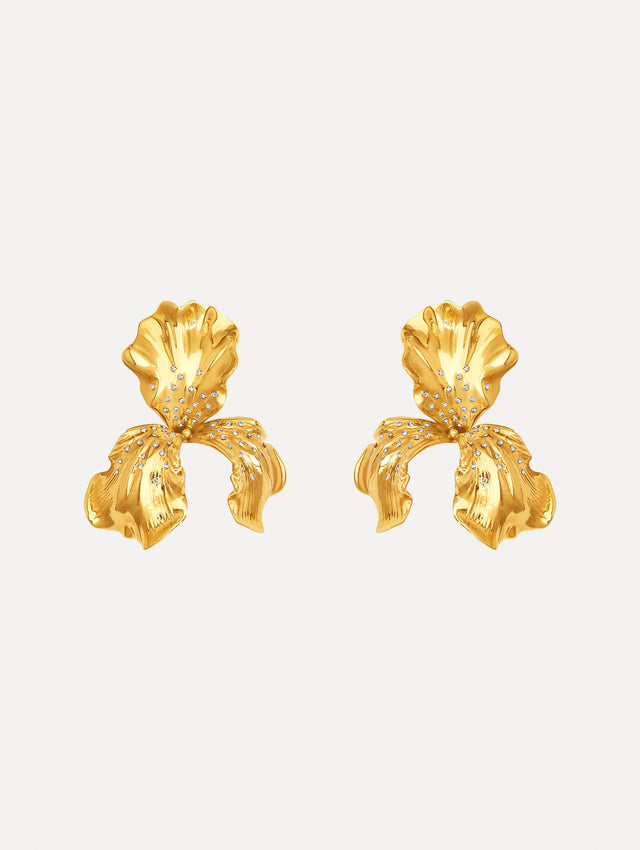 The image depicts iris earrings. Front view.